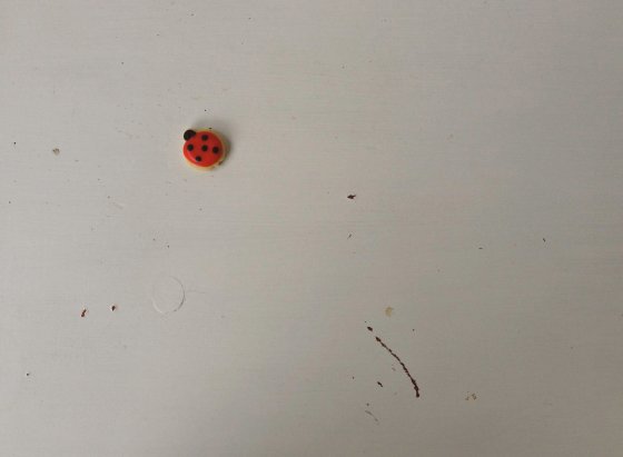 ladybugs 5